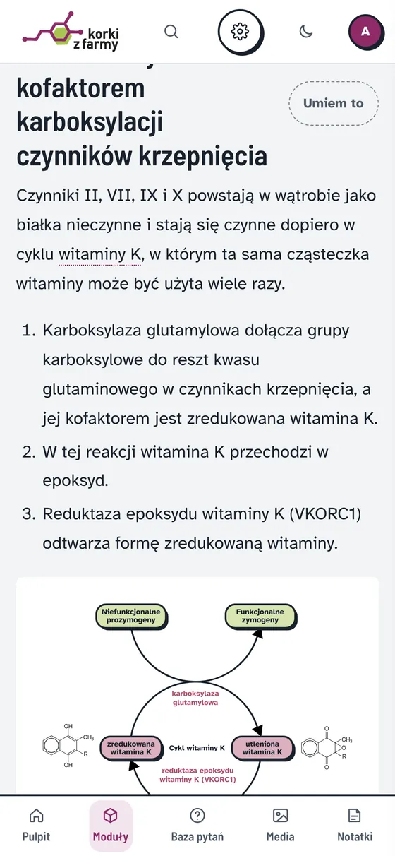 Lekcja na telefonie w trybie jasnym